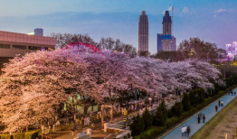 吃瓜爆料抖音网红入口,吃瓜爆料带你探秘网红圈